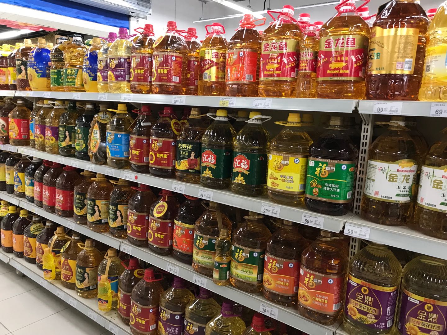 食用油.jpg